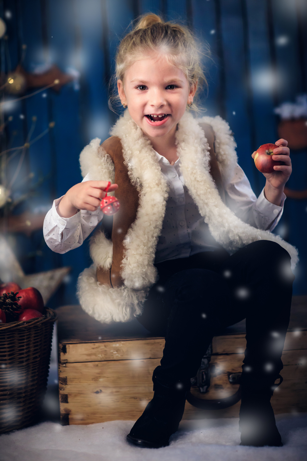 Studio foto decor craciun0177